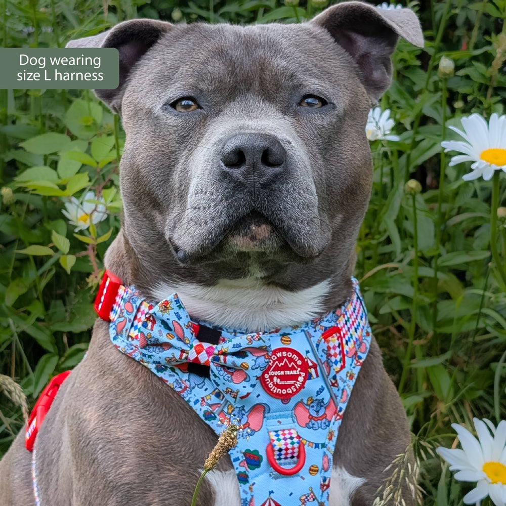 Disney© Tough Trails™ Harness - Dumbo