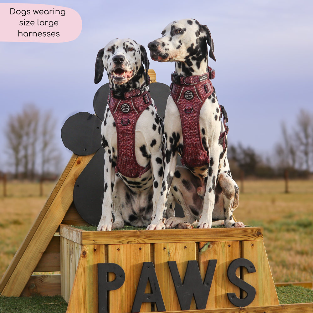 Tough Trails™ Harness - Country Burgundy