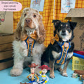 Disney© Tough Trails™ Harness - Woody