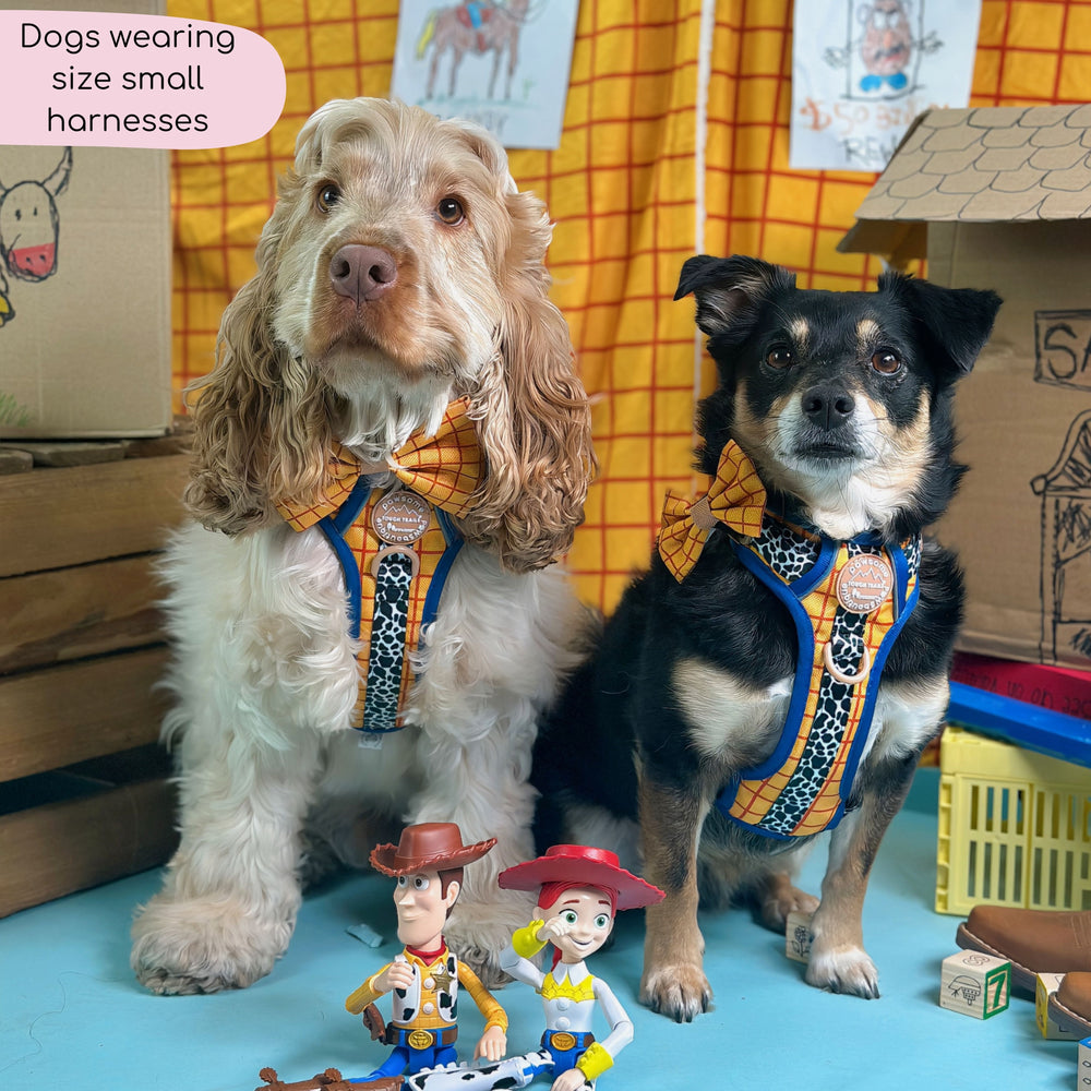 Disney© Tough Trails™ Harness - Woody