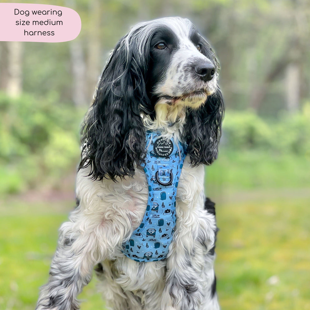 Tough Trails™ Harness - Reuben's Roadtrip