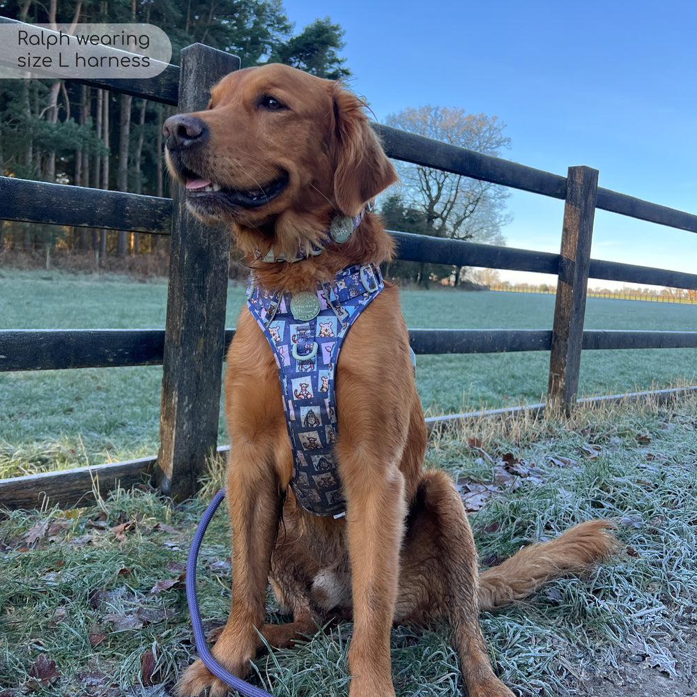 Disney© Tough Trails™ Harness -  Winnie + Friends