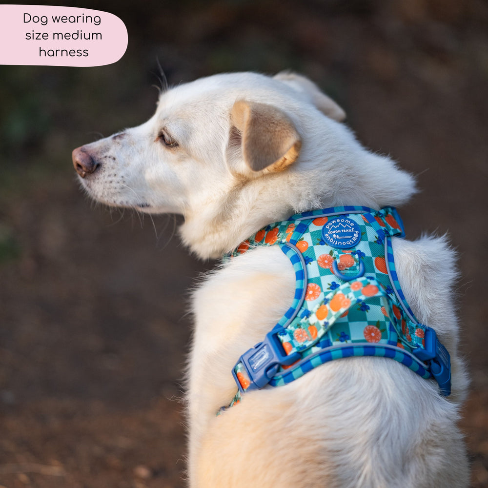 Tough Trails™ Harness -  Fruit Punch