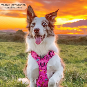 Tough Trails™ Harness - Candypop