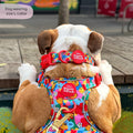 Disney© Collar - Winnie Goes Retro