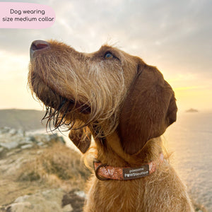 Collar - Cinnamon Spice