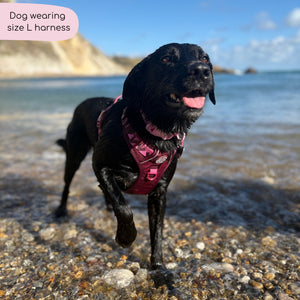 Tough Trails™ Harness - Walkies Ready® Mulberry