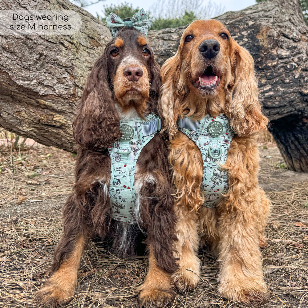 Disney© Tough Trails™ Harness - 100 Aker Wood