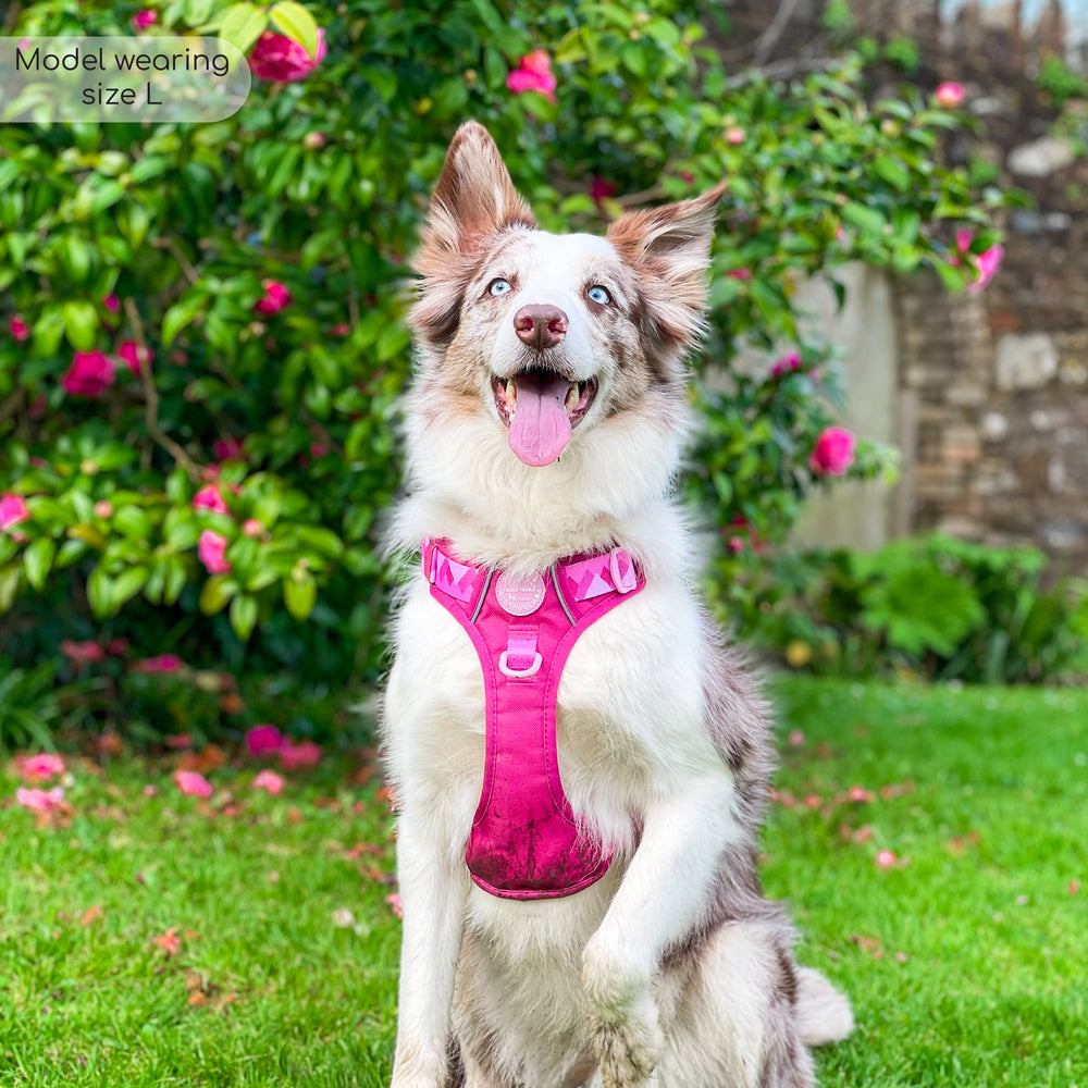 Tough Trails™ Harness - Walkies Ready® Raspberry Pink
