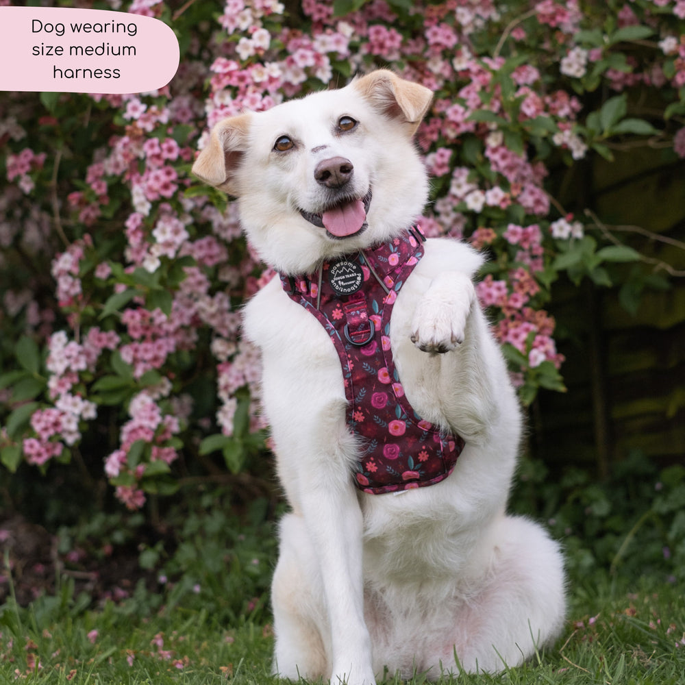 Tough Trails™ Harness - Mable's Meadow