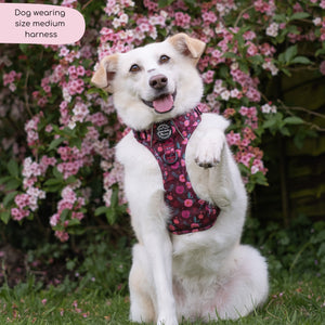 Tough Trails™ Harness - Mable's Meadow