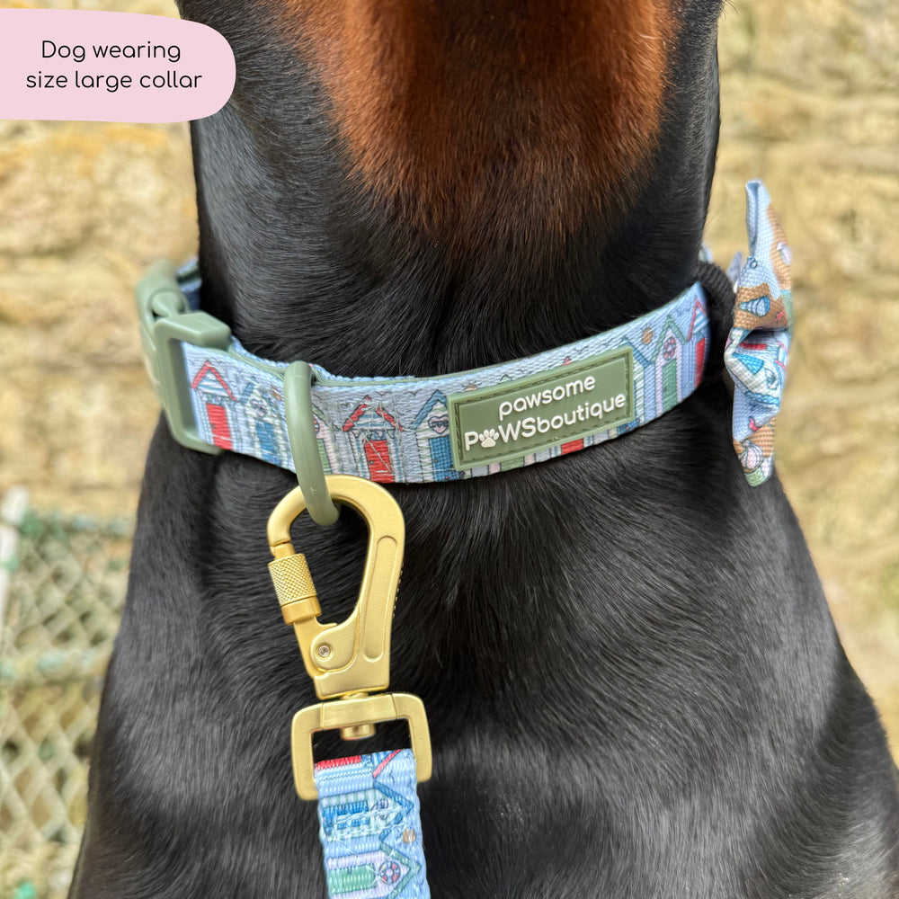 Collar - Sandy Shores