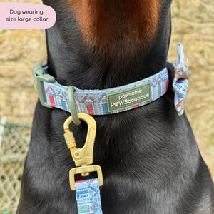 Collar - Sandy Shores