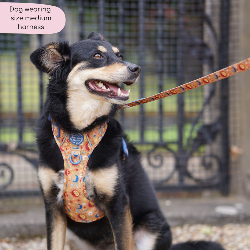 Tough Trails™ Harness - Celestial Spirit