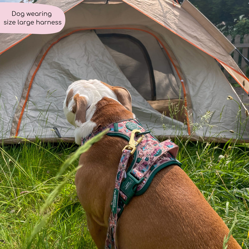 Tough Trails™ Harness -  Adventure Awaits