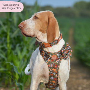 Collar - Rust & Bloom