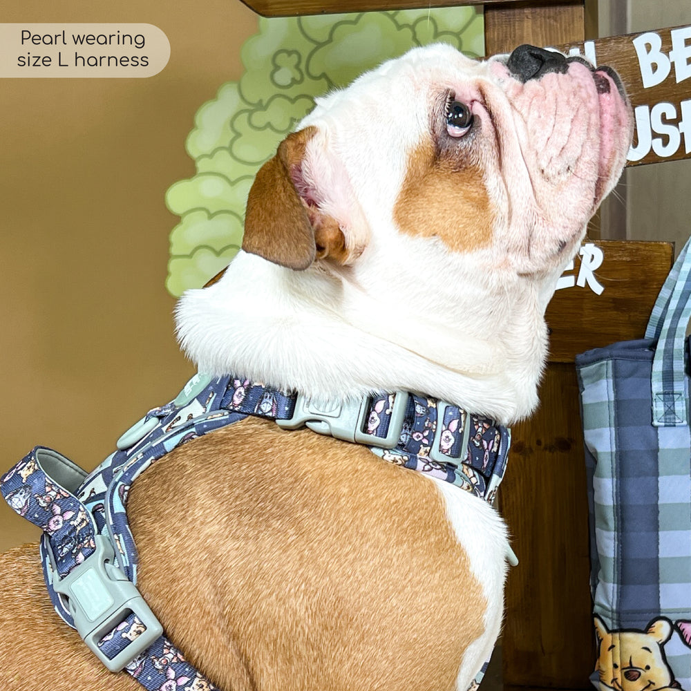 Disney© Tough Trails™ Harness -  Winnie + Friends