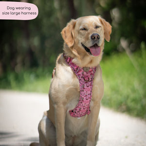 Tough Trails™ Harness -  Cowgirl