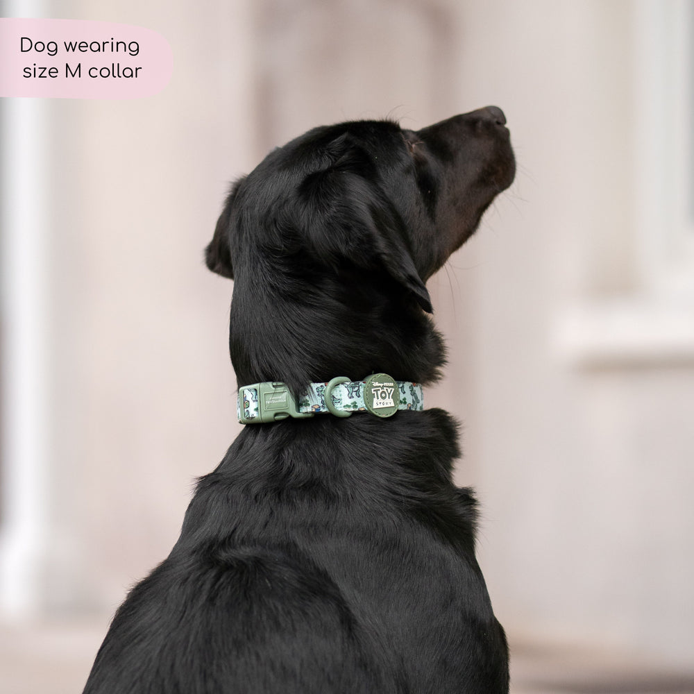 Disney© Collar - Rex