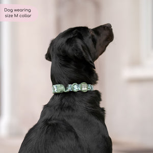 Disney© Collar - Rex