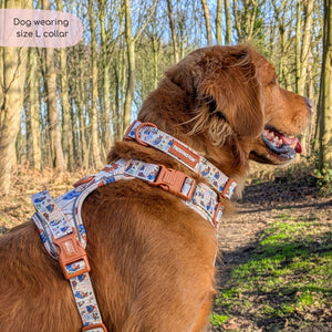 Paddington™ Collar - Peckish Paddington
