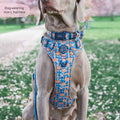 Tough Trails™ Harness -  Rise & Shine