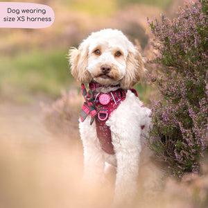 Tough Trails™ Harness - Bows Of Joy
