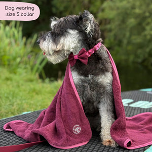 Collar - Walkies Ready® Mulberry