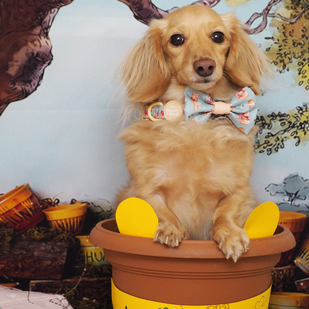 Disney© Bow Tie - Winnie The Pooh
