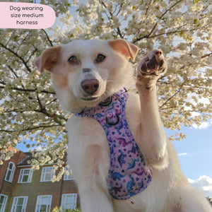 Tough Trails™ Harness - Tiny Diny