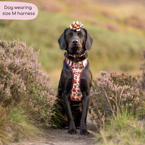 Tough Trails™ Harness - Snuggle Season