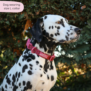 Collar - Bows Of Joy