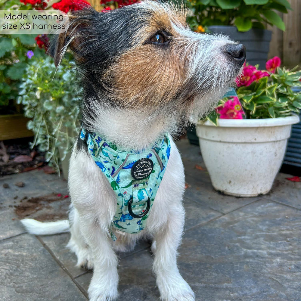 Tough Trails™ Harness - Dinky Dino