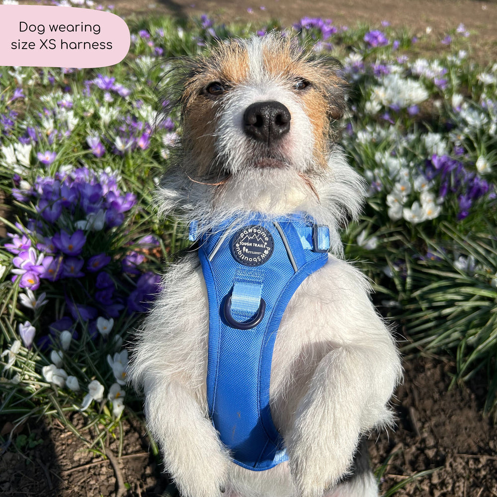 Tough Trails™ Harness - Walkies Ready® Cornflower Blue