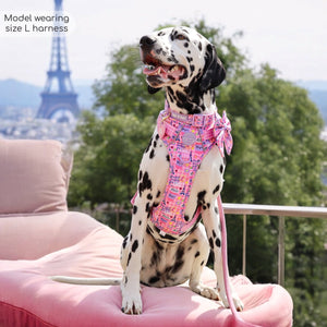 Tough Trails™ Harness - Emily In Paris