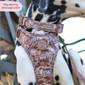 Collar - Cowboy