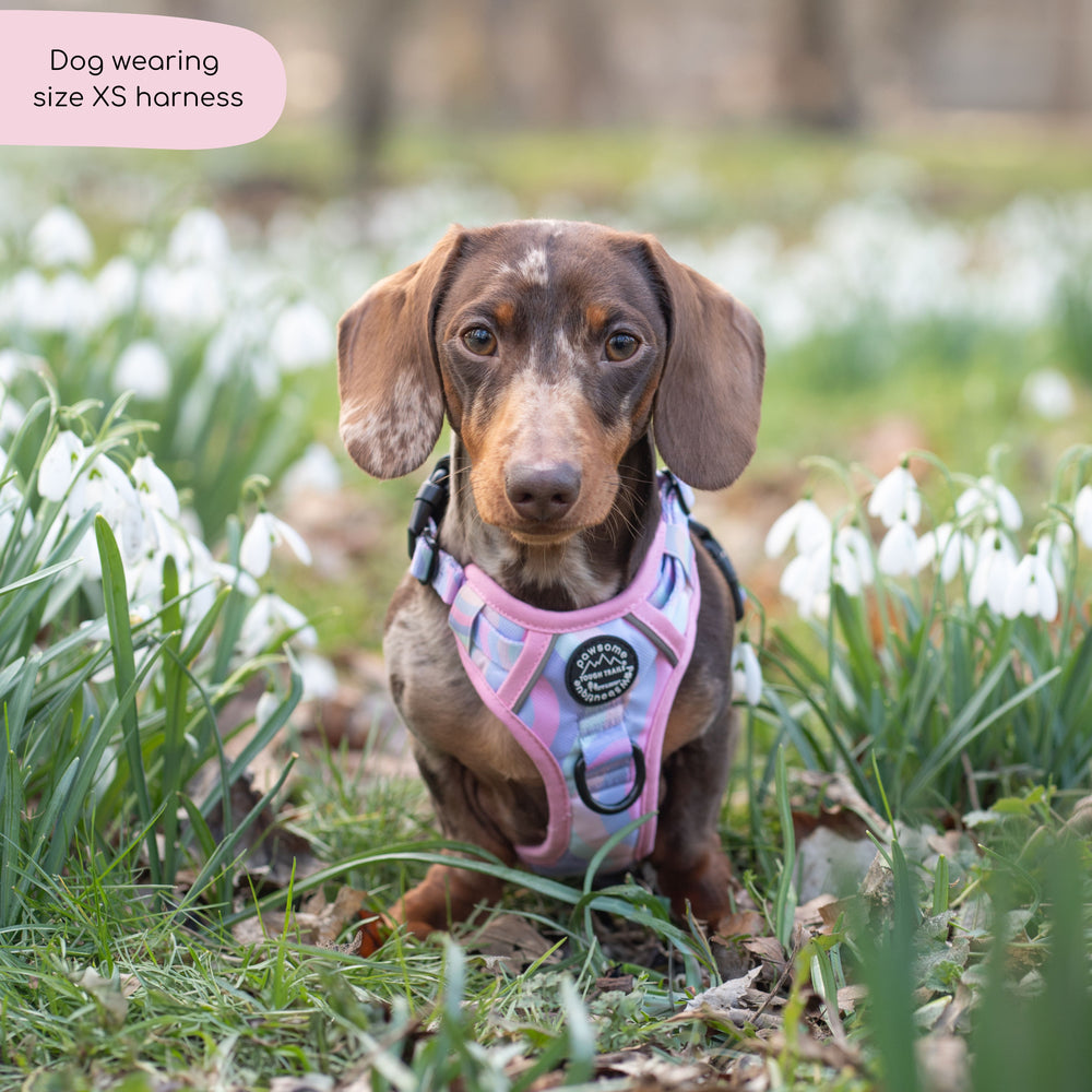 Tough Trails™ Harness - PPB Pastel Swirl