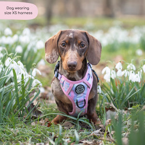 Tough Trails™ Harness - PPB Pastel Swirl