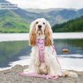 Disney© Tough Trails™ Harness - Nala