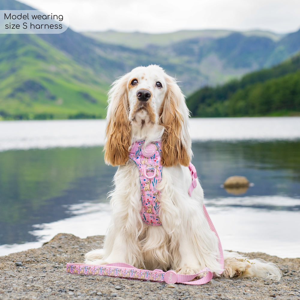 Disney© Tough Trails™ Harness - Nala