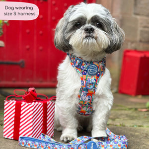 Disney© Tough Trails™ Harness - Lady + The Tramp