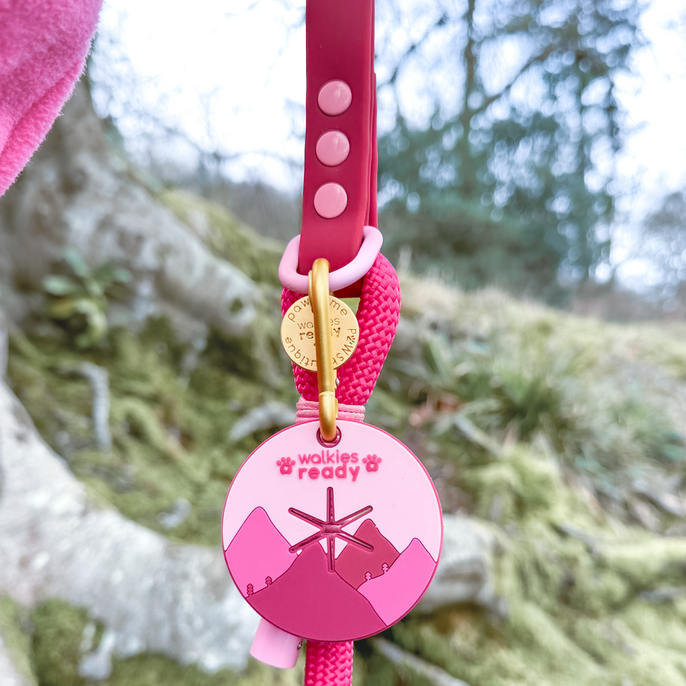 Pawsome Poop Pocket - Walkies Ready®- Raspberry Pink