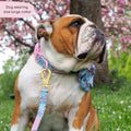 Collar - Whimsical Wildflowers
