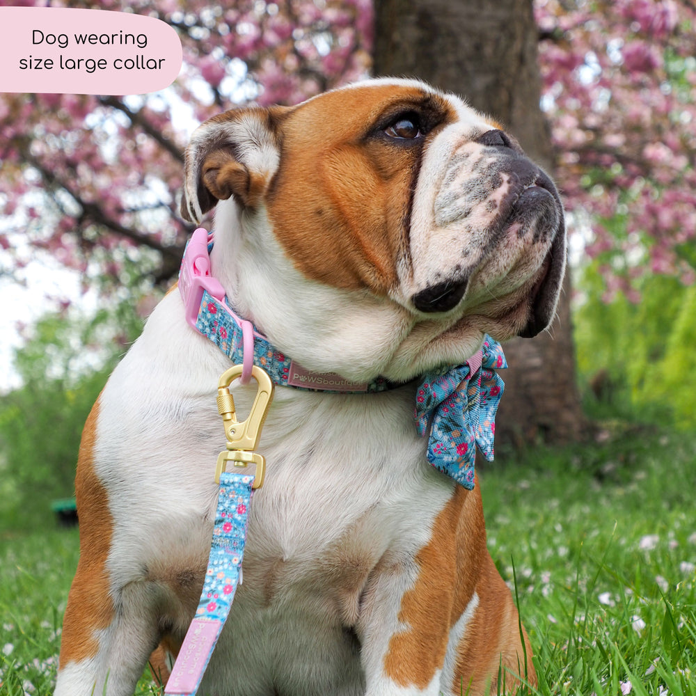 Collar - Whimsical Wildflowers