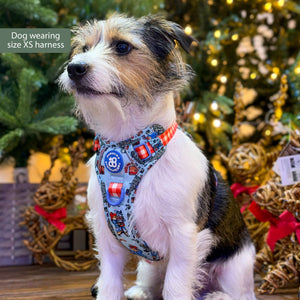 Paddington™ Tough Trails™ Harness - Christmas