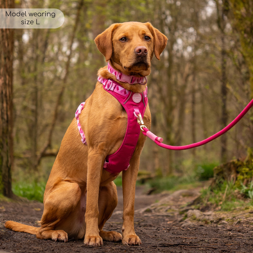 Tough Trails™ Harness - Walkies Ready® Raspberry Pink