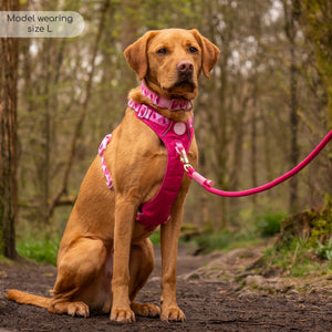 Tough Trails™ Harness - Walkies Ready® Raspberry Pink