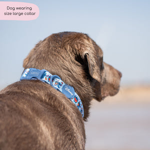 Disney© Collar - Stitch's Fruit Fiesta