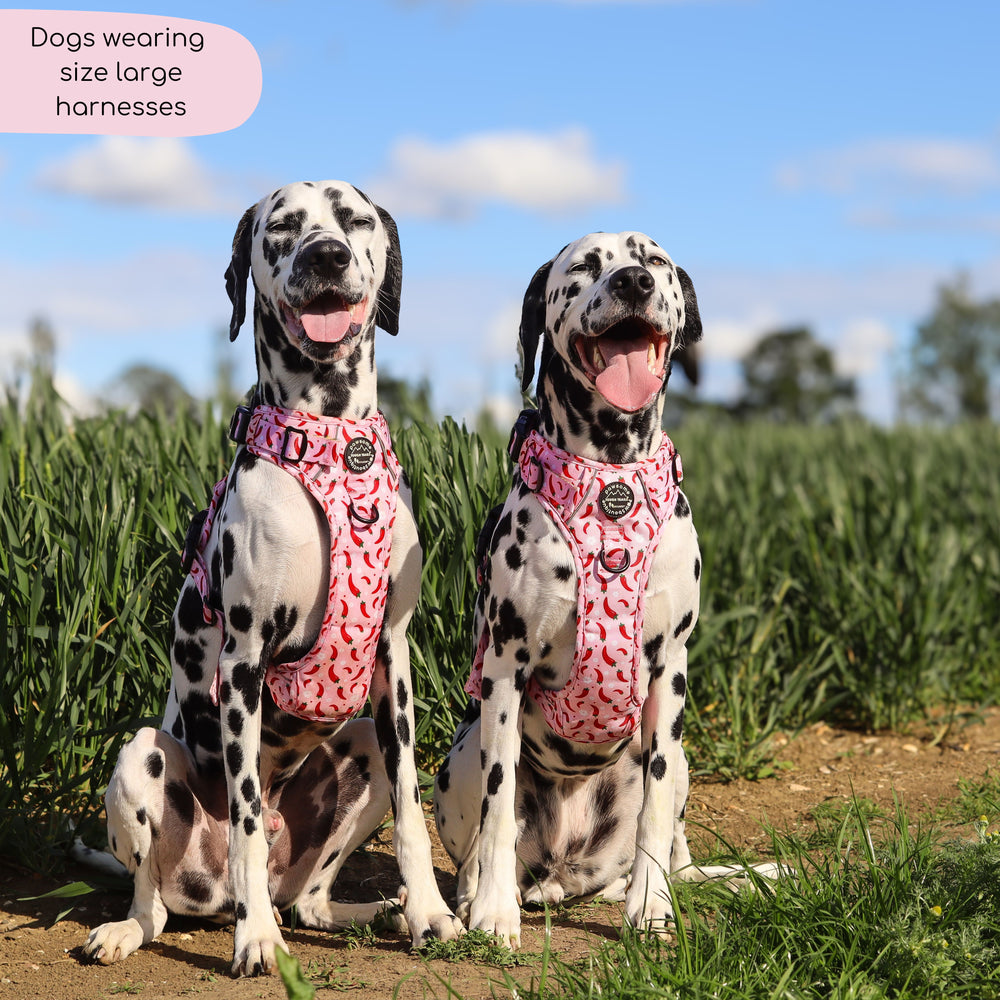 Tough Trails™ Harness - Chilli Dog