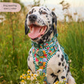 Collar - Patchwork